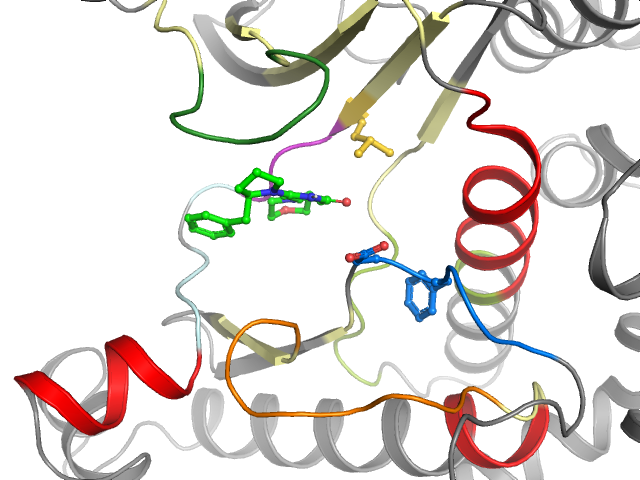The orthosteric binding pocket