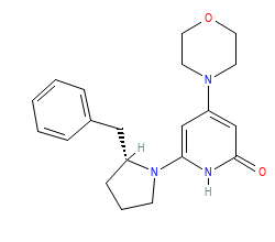 2D structure of the orthosteric ligand