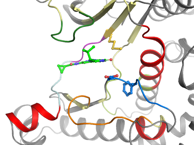 The orthosteric binding pocket