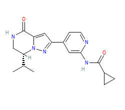 2D structure of the orthosteric ligand