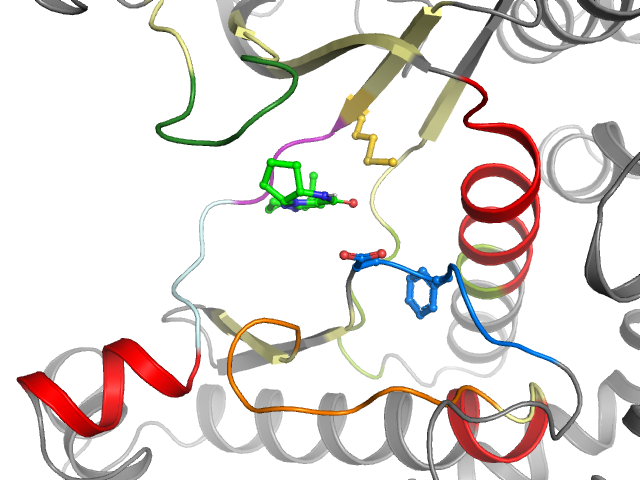The orthosteric binding pocket