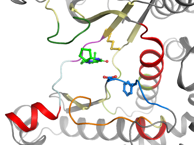 The orthosteric binding pocket