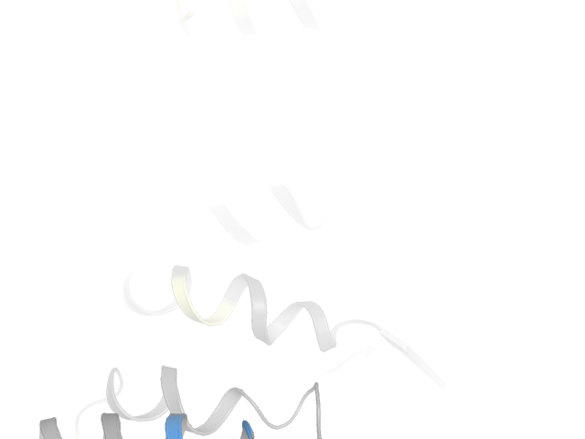 The orthosteric binding pocket