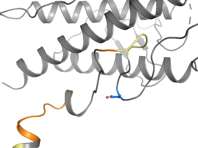 The orthosteric binding pocket