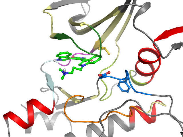 The orthosteric binding pocket
