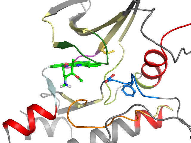 The orthosteric binding pocket