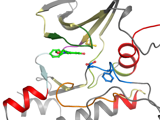 The orthosteric binding pocket