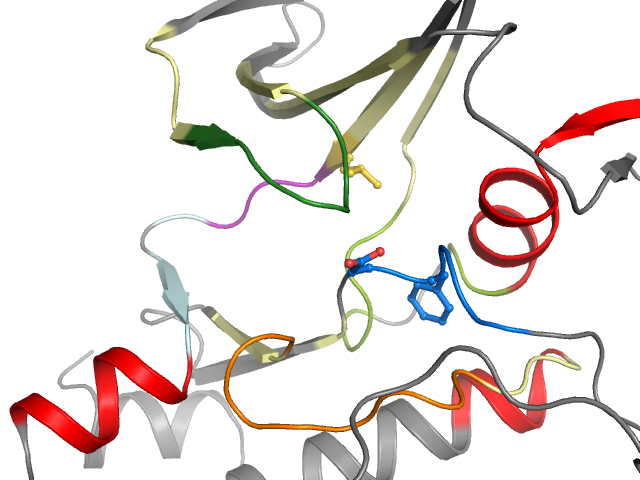 The orthosteric binding pocket