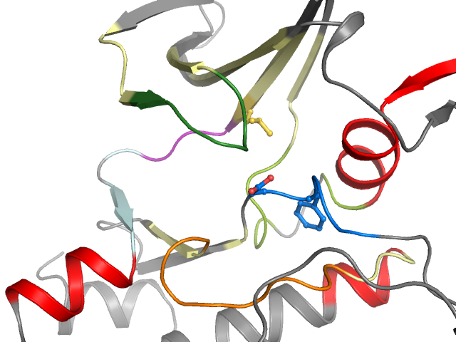 The orthosteric binding pocket