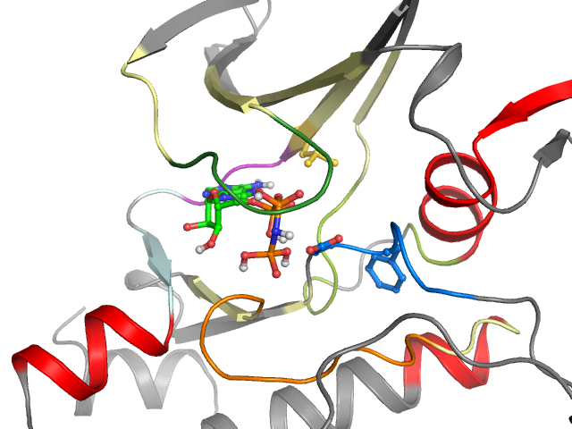 The orthosteric binding pocket