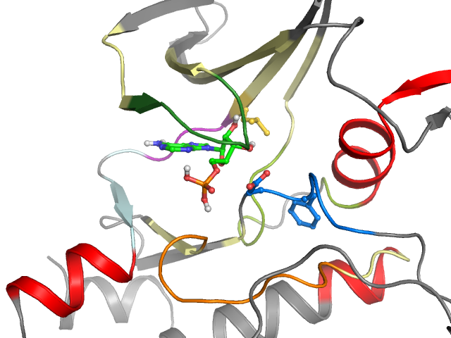 The orthosteric binding pocket