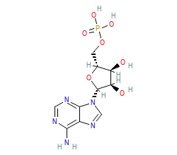 2D structure of the orthosteric ligand