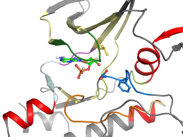 The orthosteric binding pocket