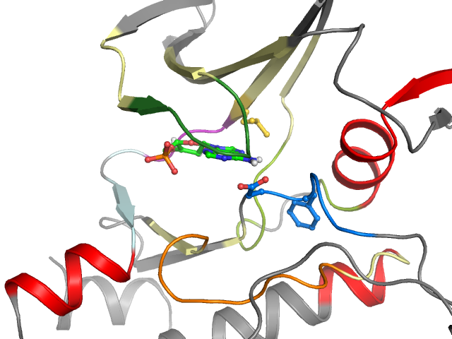 The orthosteric binding pocket