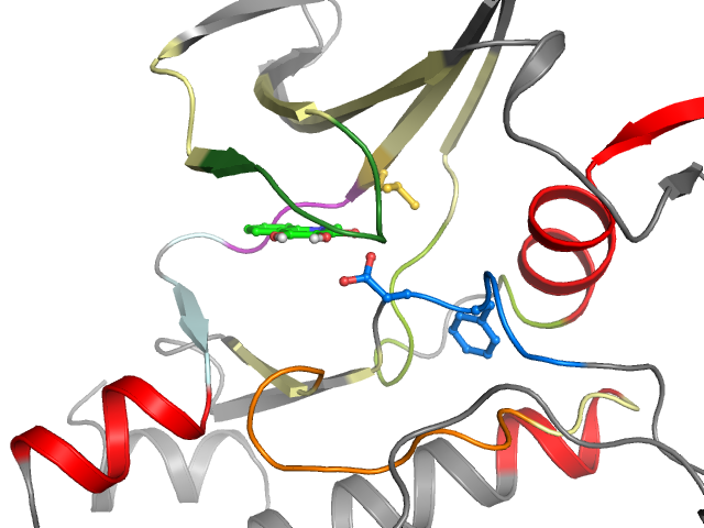 The orthosteric binding pocket