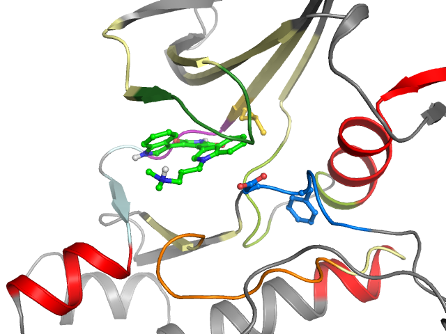 The orthosteric binding pocket