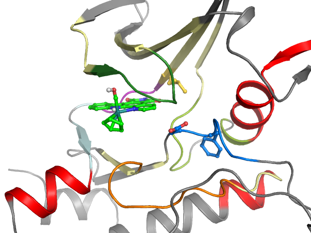The orthosteric binding pocket