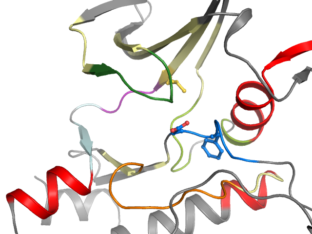 The orthosteric binding pocket
