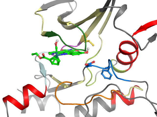 The orthosteric binding pocket