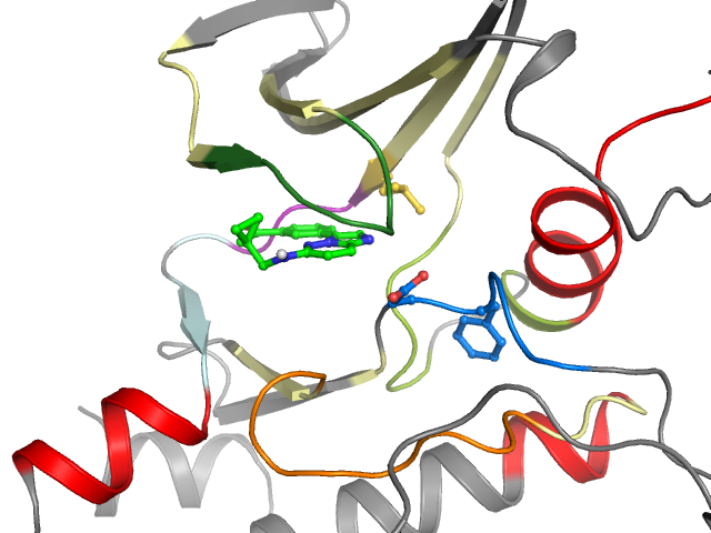The orthosteric binding pocket