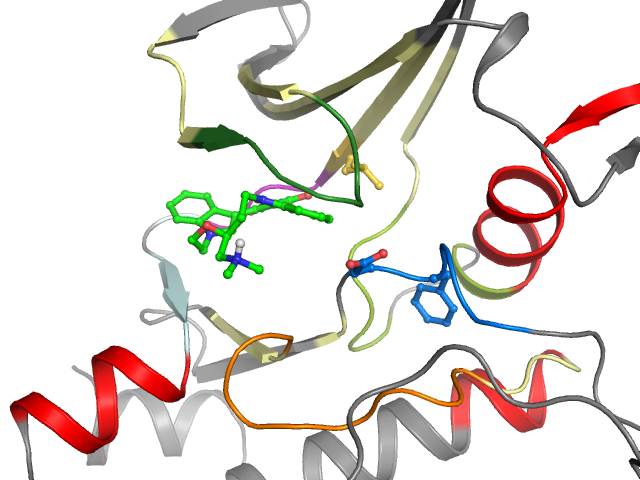 The orthosteric binding pocket