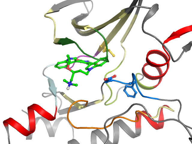 The orthosteric binding pocket
