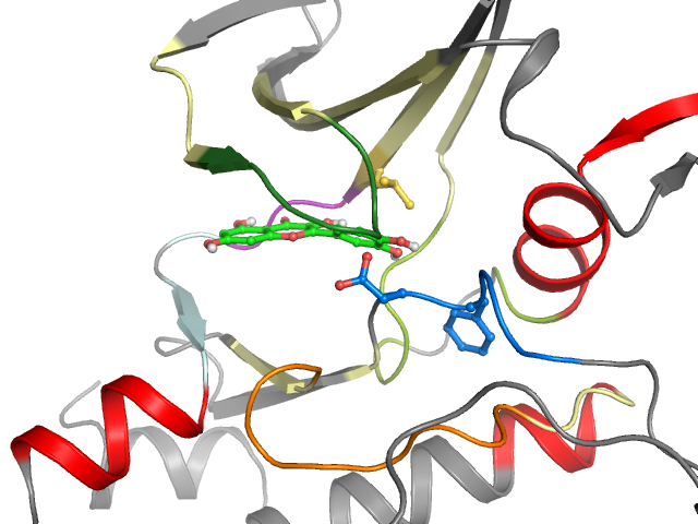 The orthosteric binding pocket