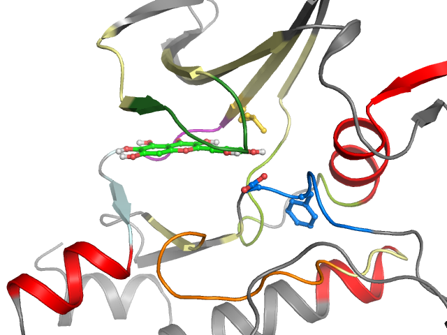 The orthosteric binding pocket