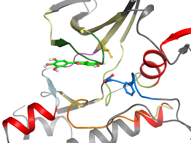 The orthosteric binding pocket