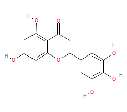 2D structure of the orthosteric ligand