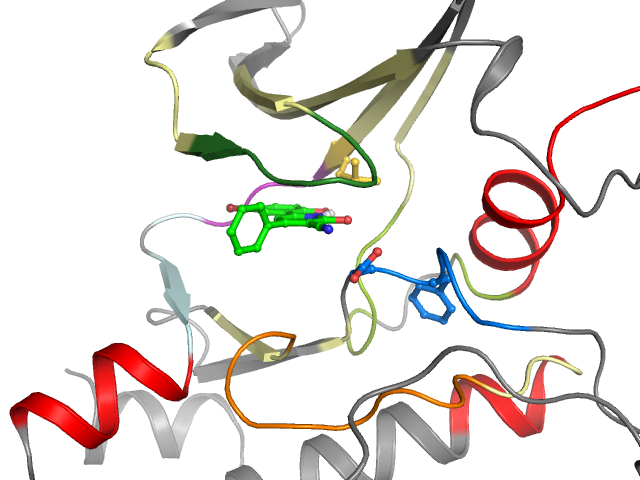 The orthosteric binding pocket
