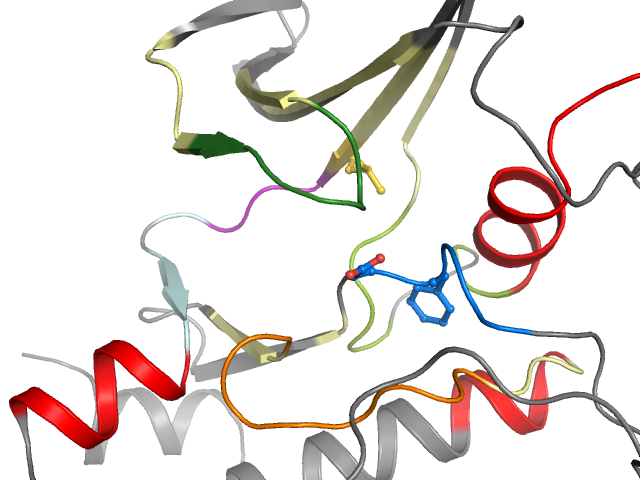 The orthosteric binding pocket