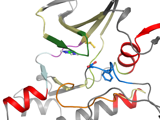 The orthosteric binding pocket