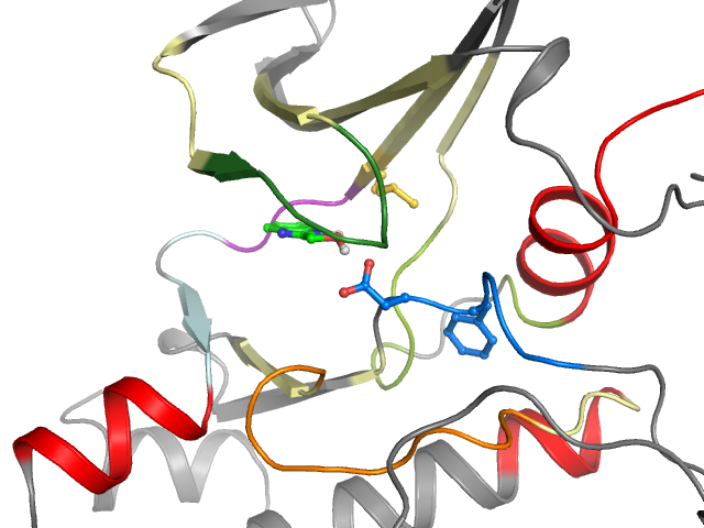 The orthosteric binding pocket