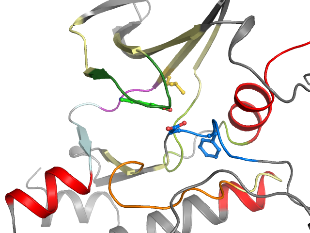 The orthosteric binding pocket