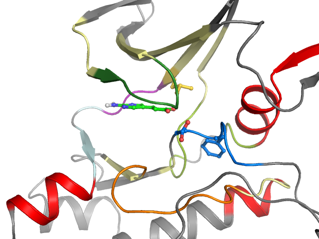 The orthosteric binding pocket