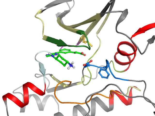 The orthosteric binding pocket