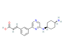 2D structure of the orthosteric ligand