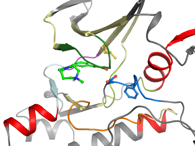 The orthosteric binding pocket