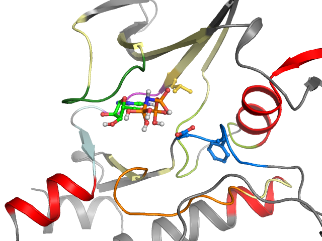 The orthosteric binding pocket