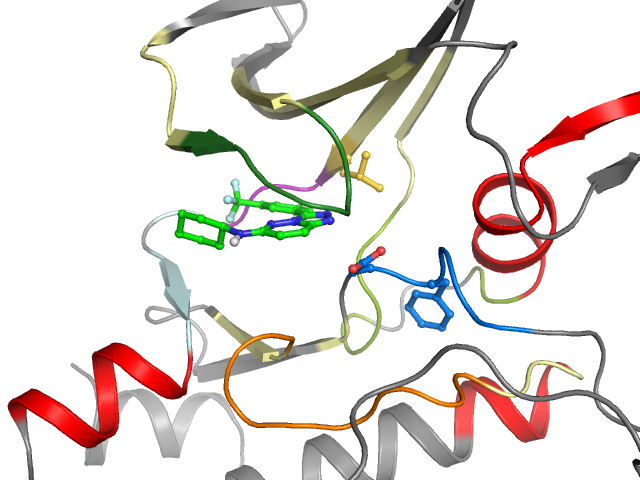 The orthosteric binding pocket