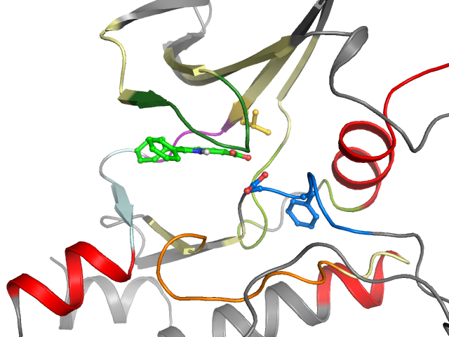 The orthosteric binding pocket