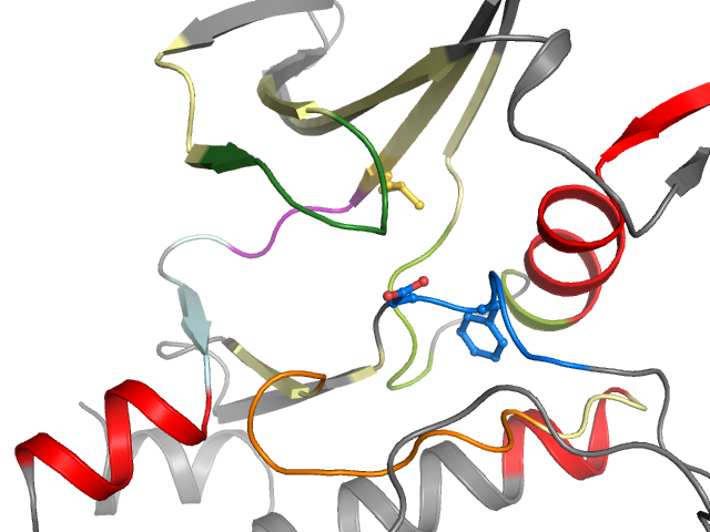 The orthosteric binding pocket