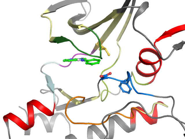The orthosteric binding pocket