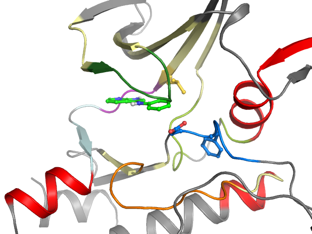 The orthosteric binding pocket