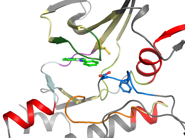The orthosteric binding pocket