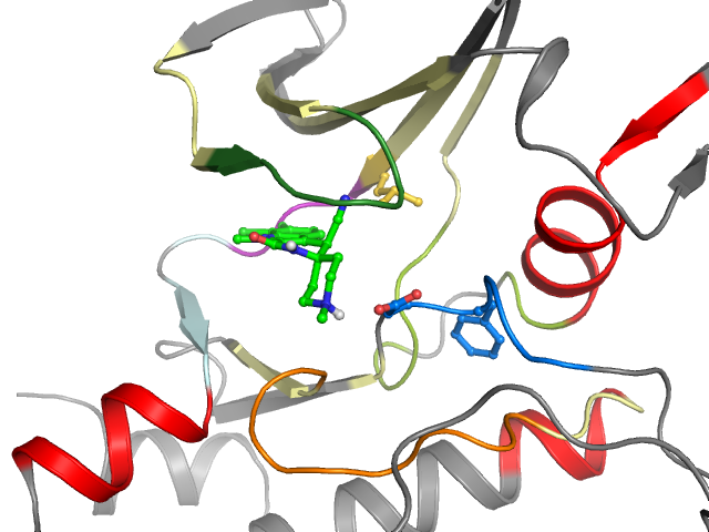 The orthosteric binding pocket