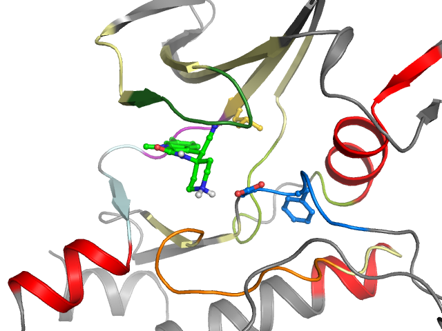 The orthosteric binding pocket