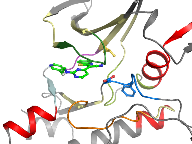 The orthosteric binding pocket
