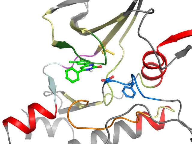 The orthosteric binding pocket